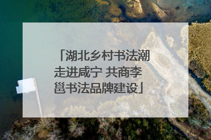 湖北乡村书法潮走进咸宁 共商李邕书法品牌建设