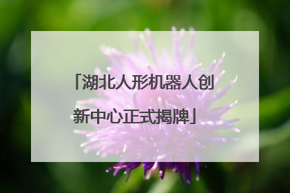 湖北人形机器人创新中心正式揭牌