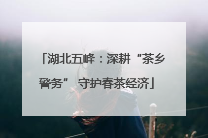 湖北五峰：深耕“茶乡警务” 守护春茶经济
