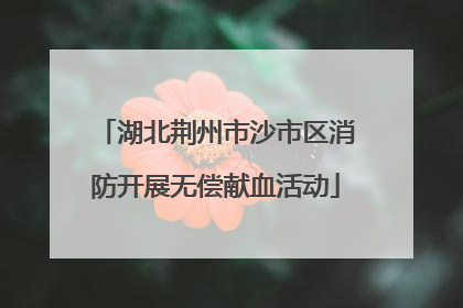 湖北荆州市沙市区消防开展无偿献血活动