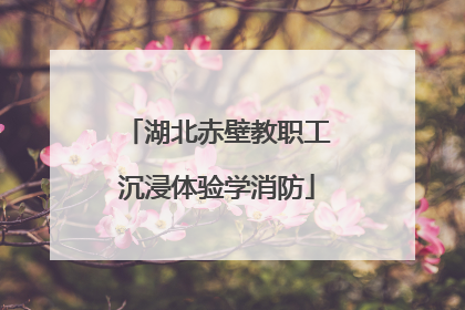 湖北赤壁教职工沉浸体验学消防