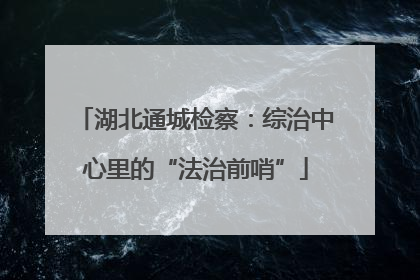 湖北通城检察：综治中心里的“法治前哨”