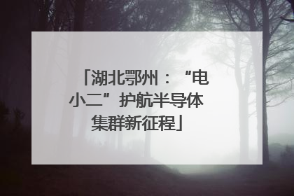 湖北鄂州：“电小二”护航半导体集群新征程