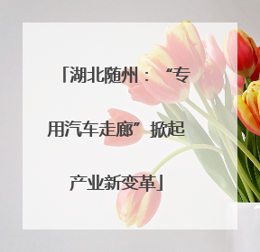 湖北随州：“专用汽车走廊”掀起产业新变革