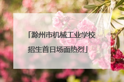 滁州市机械工业学校招生首日场面热烈