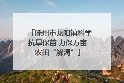 滕州市龙阳镇科学抗旱保苗 力保万亩农田“解渴”