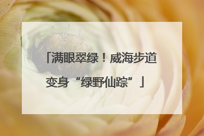 满眼翠绿！威海步道变身“绿野仙踪”