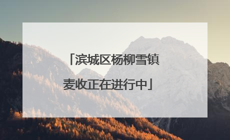 滨城区杨柳雪镇麦收正在进行中