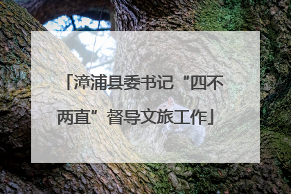 漳浦县委书记“四不两直”督导文旅工作