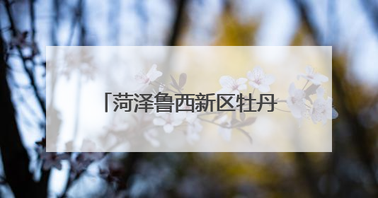 菏泽鲁西新区牡丹文创亮相第二十一届中国（深圳）国际文化产业博览交易会