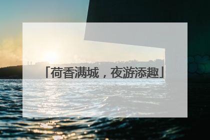 荷香满城，夜游添趣