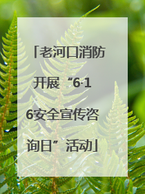 老河口消防开展“6·16安全宣传咨询日”活动