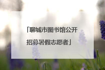 聊城市图书馆公开招募暑假志愿者