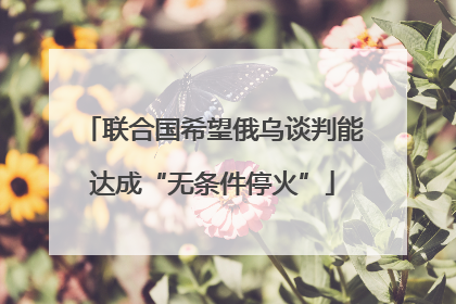 联合国希望俄乌谈判能达成“无条件停火”