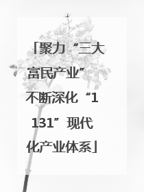 聚力“三大富民产业” 不断深化“1131”现代化产业体系