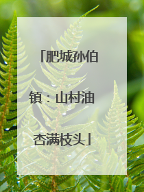 肥城孙伯镇：山村油杏满枝头