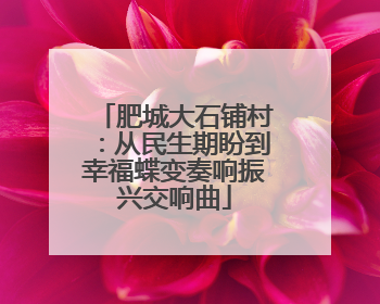 肥城大石铺村：从民生期盼到幸福蝶变奏响振兴交响曲