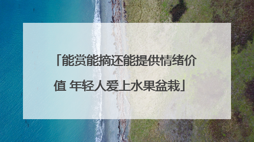 能赏能摘还能提供情绪价值 年轻人爱上水果盆栽