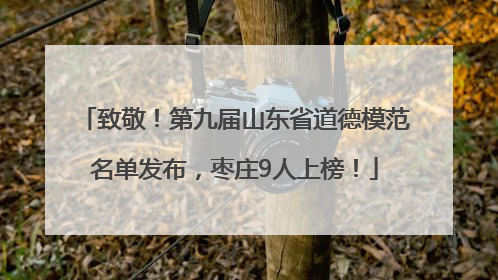 致敬！第九届山东省道德模范名单发布，枣庄9人上榜！