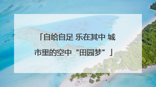 自给自足 乐在其中 城市里的空中“田园梦”