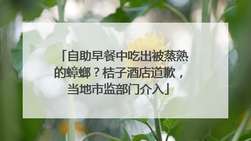自助早餐中吃出被蒸熟的蟑螂？桔子酒店道歉，当地市监部门介入