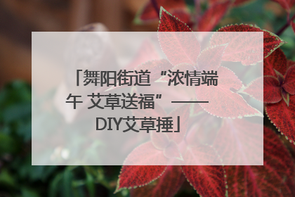 舞阳街道“浓情端午 艾草送福”——DIY艾草捶