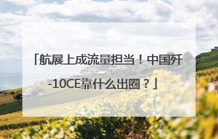 航展上成流量担当！中国歼-10CE靠什么出圈？
