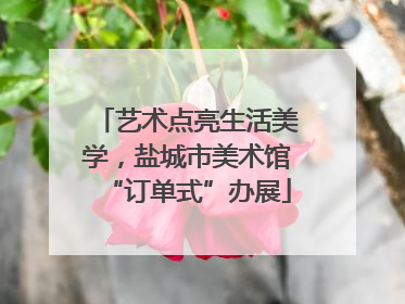 艺术点亮生活美学，盐城市美术馆“订单式”办展