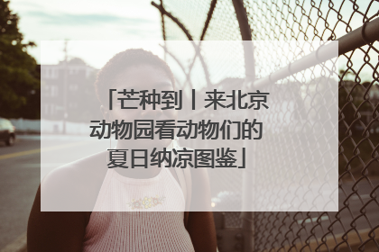 芒种到丨来北京动物园看动物们的夏日纳凉图鉴