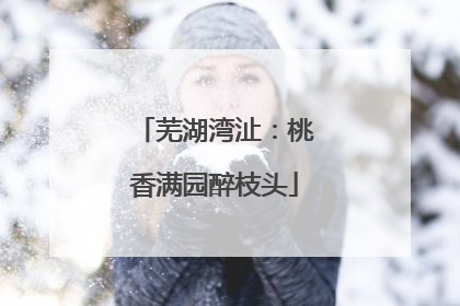 芜湖湾沚：桃香满园醉枝头