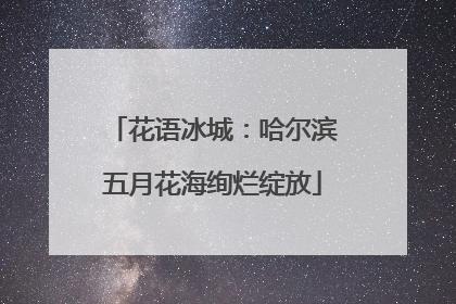 花语冰城：哈尔滨五月花海绚烂绽放