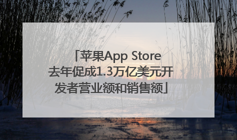 苹果App Store去年促成1.3万亿美元开发者营业额和销售额