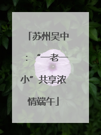 苏州吴中：“一老一小”共享浓情端午