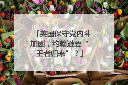 英国保守党内斗加剧，约翰逊要“王者归来”？