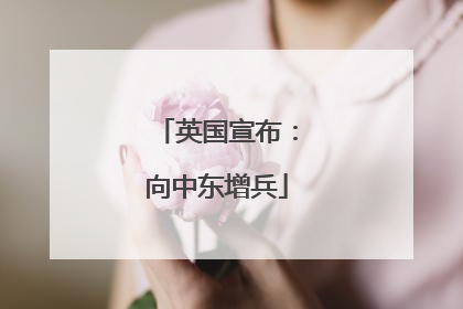英国宣布：向中东增兵