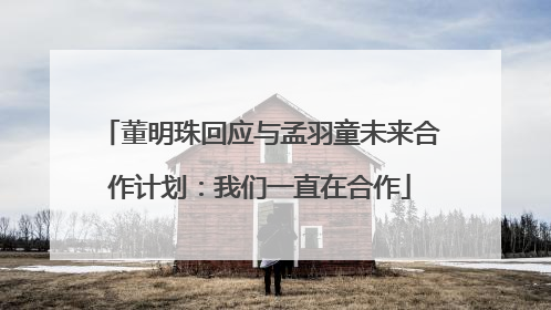 董明珠回应与孟羽童未来合作计划：我们一直在合作