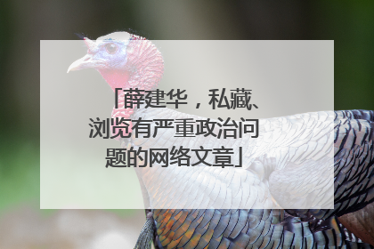 薛建华，私藏、浏览有严重政治问题的网络文章