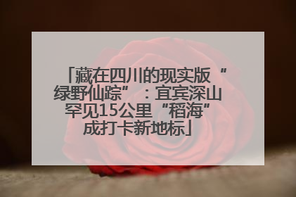 藏在四川的现实版“绿野仙踪”：宜宾深山罕见15公里“稻海”成打卡新地标