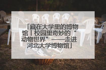 藏在大学里的博物馆丨校园里奇妙的“动物世界”——走进河北大学博物馆
