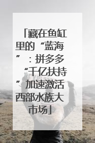 藏在鱼缸里的“蓝海”：拼多多“千亿扶持”加速激活西部水族大市场