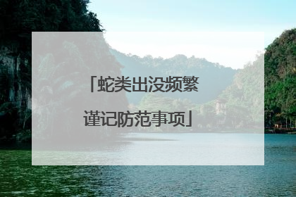 蛇类出没频繁 谨记防范事项
