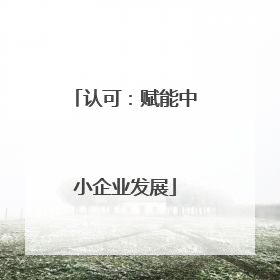 认可：赋能中小企业发展