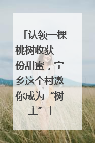 认领一棵桃树收获一份甜蜜，宁乡这个村邀你成为“树主”
