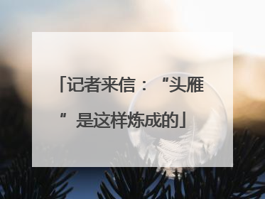 记者来信：“头雁”是这样炼成的