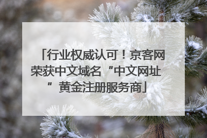 行业权威认可！京客网荣获中文域名“中文网址”黄金注册服务商