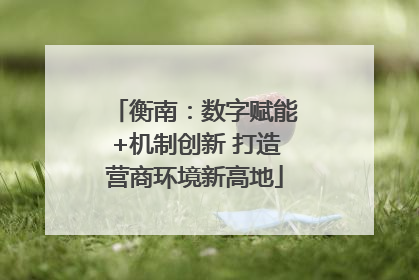 衡南：数字赋能+机制创新 打造营商环境新高地