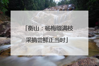 衡山：杨梅缀满枝 采摘尝鲜正当时
