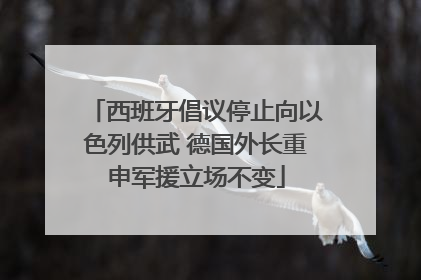 西班牙倡议停止向以色列供武 德国外长重申军援立场不变