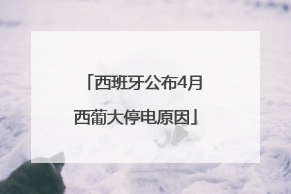 西班牙公布4月西葡大停电原因