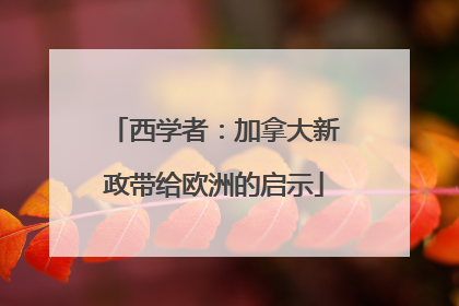 西学者：加拿大新政带给欧洲的启示
